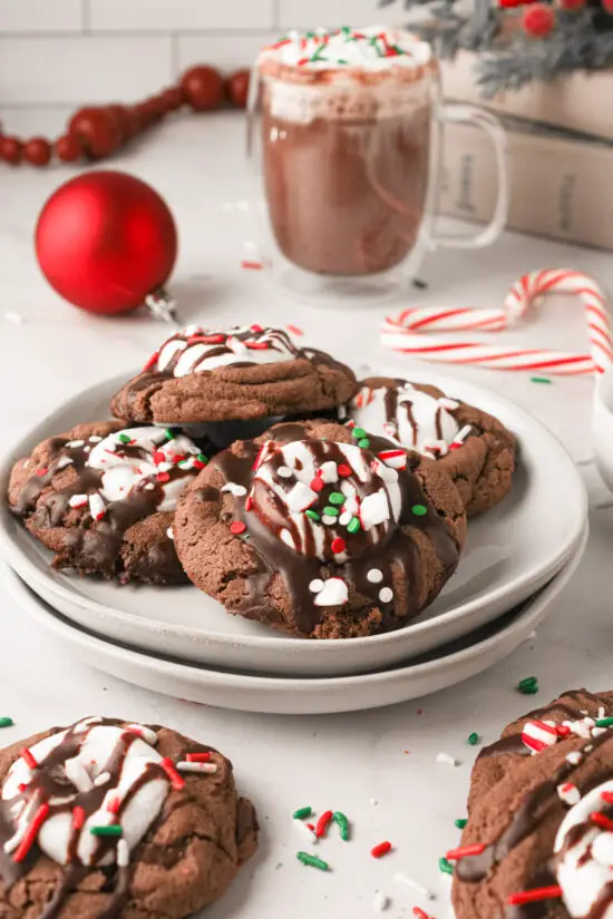 Plate filled with hot chocolate cookies and a side mug of hot chocolate.