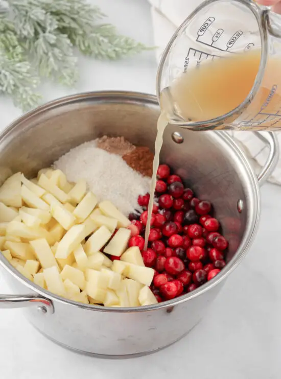 Stainless steel pot with fresh cranberries, chopped apple, sugar and spices. 
