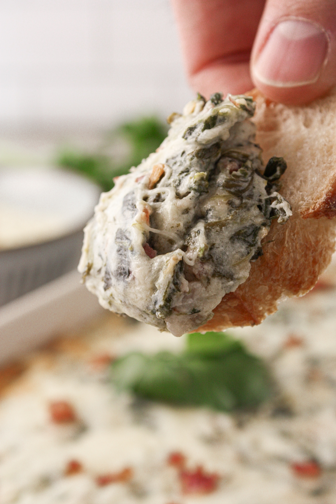 Cheesy Bacon Spinach Dip The Tickled Tastebud