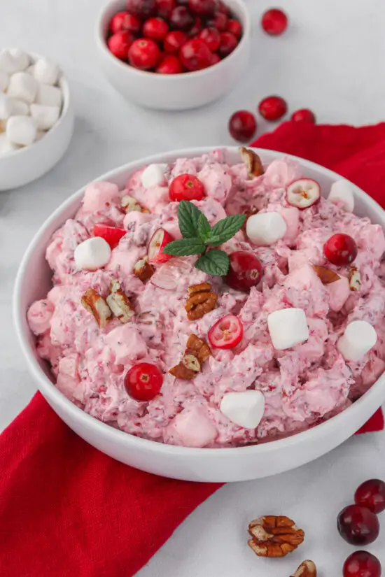 Bowl of Easy Cranberry Fluff with fresh cranberries and mini marshmallows and fresh sprig of mint on top. 